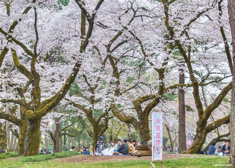 小金井市 天気 1時間 今日の空はなぜかピンク色に見える