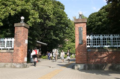 東京芸術大学 入試: アートと現実の境界線を超える挑戦