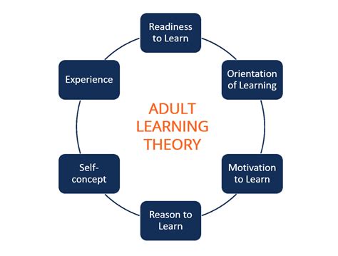 What is Adult Basic Education: A Journey Through the Labyrinth of Lifelong Learning