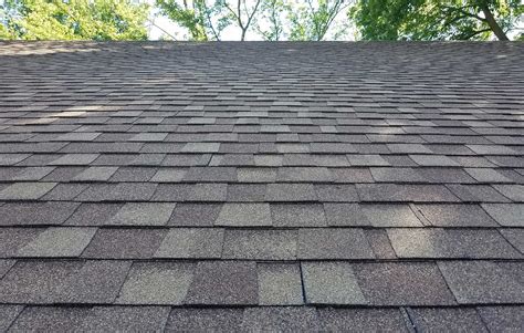 What is Composition Shingles: A Symphony of Roofing and Randomness