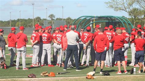 Where Do the Cardinals Play Spring Training: A Journey Through Baseball's Most Enigmatic Ritual